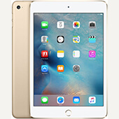 iPad mini