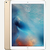 iPad Pro